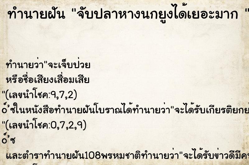 ทำนายฝัน จับปลาหางนกยูงได้เยอะมาก 